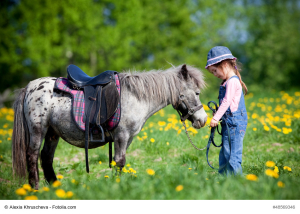 Kinder lieben Pferde. Ein Plüschpferd oder Holzpferd hilft dabei die ersten echten Reiterfahrungen zu machen.