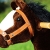 Ponycycle ” Mister Ed ” Pferd braun, Pony auf Rollen fahrendes Schaukelpferd und Kuscheltier für Ihr Kind von MyPony (Medium)
