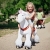 Ponycycle " Sternschnuppe " Einhorn, Pony auf Rollen fahrendes Schaukelpferd und Kuscheltier für Ihr Kind von MyPony (Medium) - 1